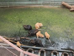 -呀路古热带植物园