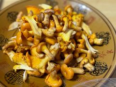 -野菌王牦牛肉汤锅