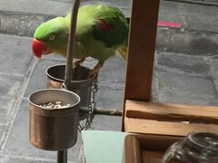 -丽江庭院之丽江往事(安定门店)