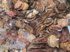 -和源祥·日照菜扛把子(万平口一店)