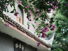 -生宇山珍野生菌汤锅•始于1999(双流古塔店)