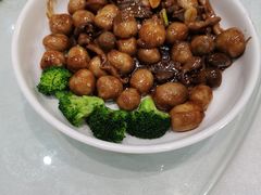 -鹅城