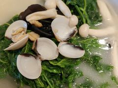 桑叶-盆满钵满·国家非遗传承(云台店)