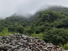 -陕西省红河谷森林公园