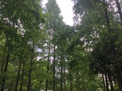 -苏州河梦清园环保主题公园