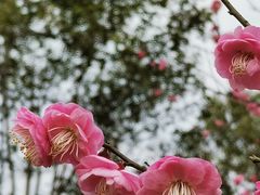 -广富林郊野公园