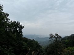 -广州市白云山风景名胜区