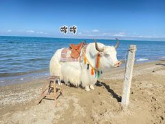 -青海湖国家重点风景名胜区