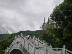 -杨梅坑
