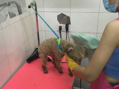 -喵宠乐园·撸猫互动·猫舍