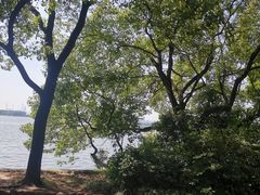 -东湖落雁景区