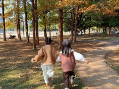 -湖南烈士公园-停车场
