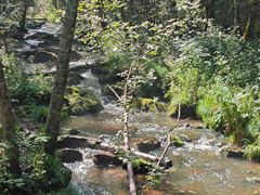 -汤旺河林海奇石景区