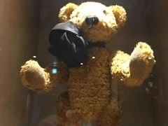 -济州岛泰迪熊博物馆