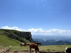 -芦芽山旅游度假区