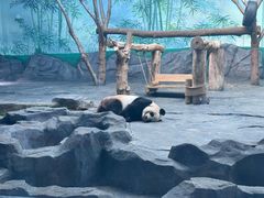 -秦皇岛野生动物园