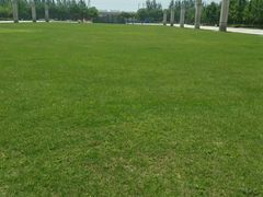 -石家庄市植物园