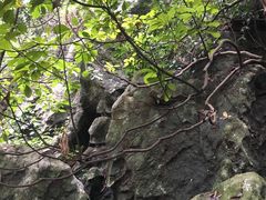-杭州西湖风景名胜区-三生石