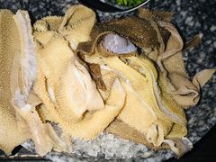 招牌空运毛肚-哥老官重庆美蛙鱼头(宝山龙湖店)