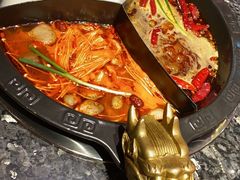 -蜀大侠火锅(森兰花园城店)