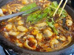 麻椒石锅鱼-都江堰石锅鱼