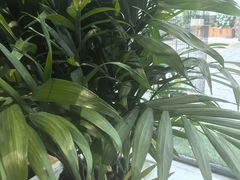 -静一·疆味小馆(黄河路店)