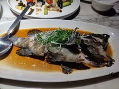 -钟菜·粤菜点心·宴请(海上世界·汇港二期店)
