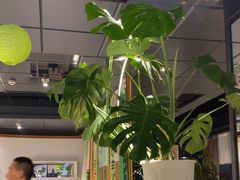 -懒人盐府人家(航天桥店)