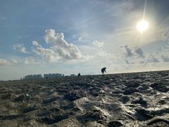 -北海金海湾红树林生态旅游区