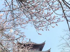 -堤角公园