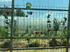 -妈妈的小作坊(陈家镇店)