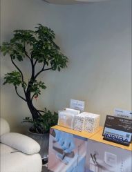 -VALMONT·若嫚蝶国际美肤中心
