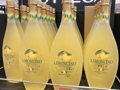 -米兰马尔彭萨国际机场