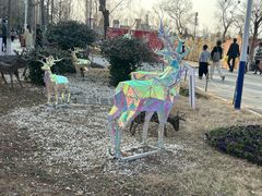 -祥源·阜阳生态乐园