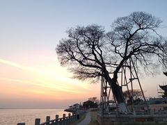-观潮胜地公园