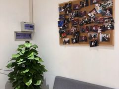 -MusicLife音乐(浦东校区)