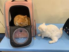 -萌兽医馆·犬猫专科·眼科中心·宠物医院(朝阳门分院)