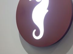 -海马体大师店(广州天汇广场IGC大师店)
