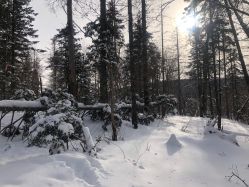 -大秃顶子山