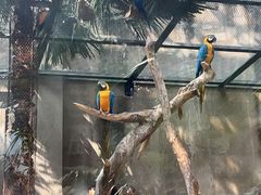 -大连森林动物园