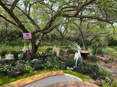 -名花谷生态庄园