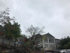 -老幺泉水鸡