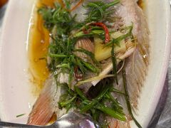 -营记牛肉火锅·大埔客家菜(上梅林店)