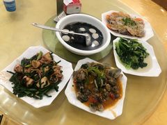 -广东惠东海龟国家级自然保护区