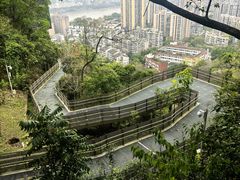 -福道