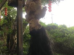 -丰都鬼城名山景区