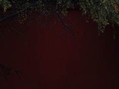 -西安市广仁寺