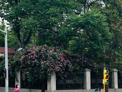 -山东师范大学(千佛山校区)