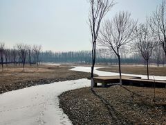 -东郊湿地公园