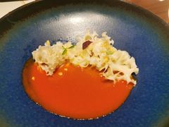 火凤凰绣球菇-觀芷隐轩